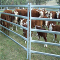 Hot Sale Squre / round pipe horse fence